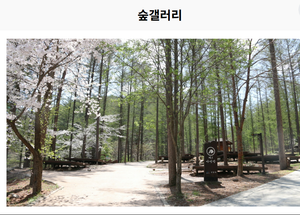 청옥산자연휴양림03