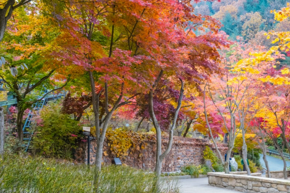 화담숲예약하기