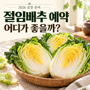 절임배추예약