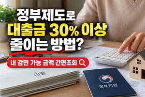 정부제도로 대출금 30% 줄이기